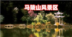 美女操逼网站视频
